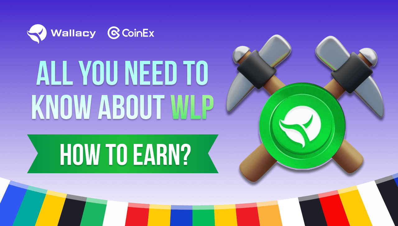 What is WLP (Wallacy Loyalty Point)? - All You Need to Know