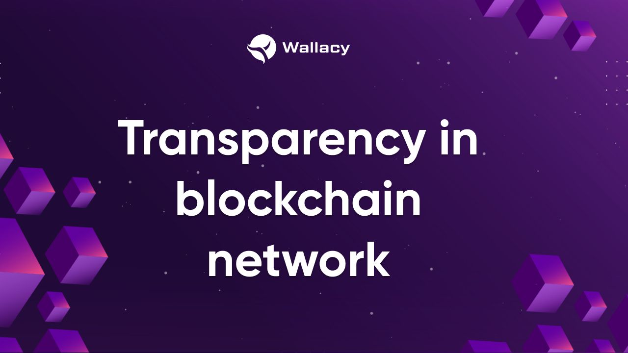 Transparency in blockchain network.jpg