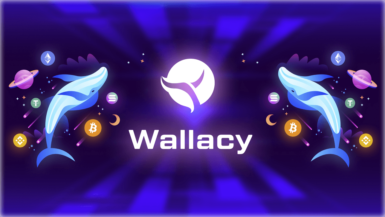 Wallacy the hybrid crypto wallet in 2023.png