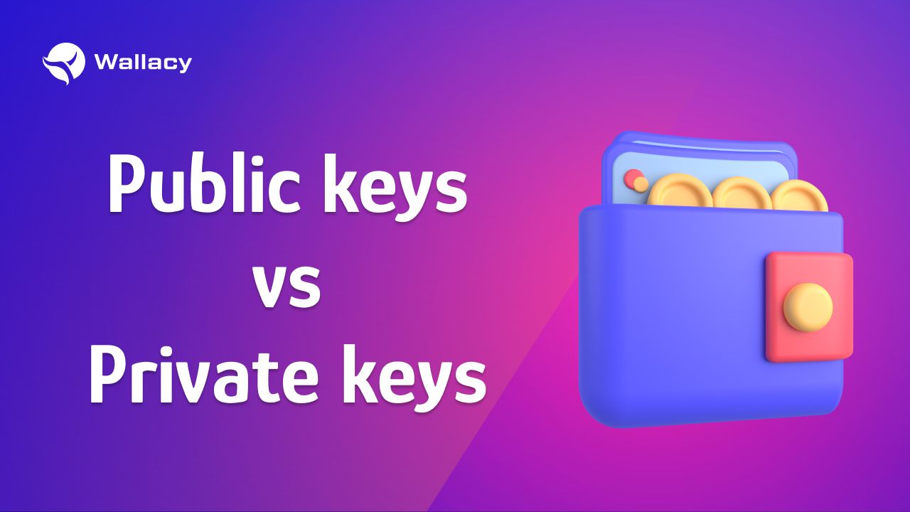 What is a Public key and a Private key?