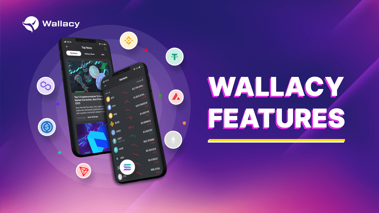 Discovering Wallacy: A Gamified Hybrid Crypto Wallet with Exciting Features