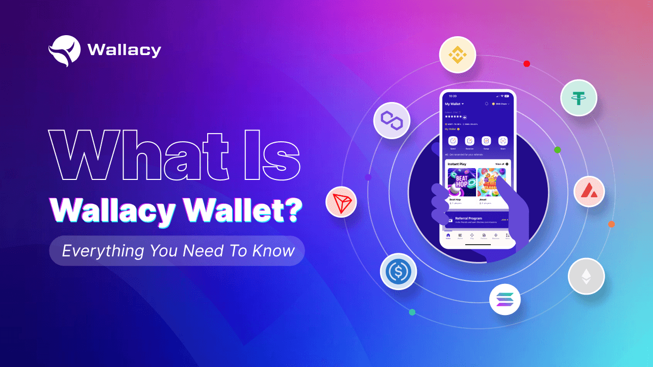 What is Wallacy wallet, and How to Use it: An In-Depth Tutorial for Beginners